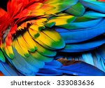 Colorful Of Scarlet Macaw Bird...