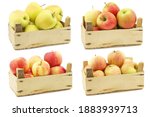 Small photo of Fresh yellow apples, "Maribelle apples", "honey crunch" apples and cooking apples in a wooden crate on a white background