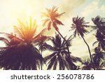 Tropical Beach Background With...