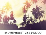 Tropical Jungle Background With ...