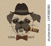 Portrait Of Pug Dog With Cigar  ...