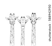Giraffe Heads Sketch Set