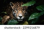 Small photo of Camouflage male jaguar lurking in forest blue eyes