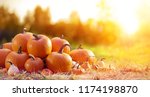 Group of pumpkins in field at...