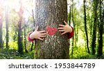 Small photo of Tree Hugging - Love Nature - Child Hug The Trunk With Red Heart Shape