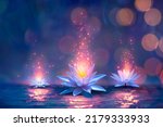 Small photo of Magic Lotus Flower On Water - Miracle Concept - Waterlilies In Defocused Background