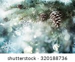 Fir Branch With Pine Cone And...