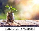 Plant growing in savings coins  ...