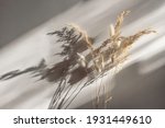 bouquet of dry grass in... | Shutterstock . vector #1931449610