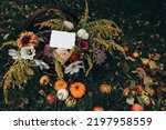Small photo of Moody autumn garden harvest composition. Wicker basket with colorful cosmos, zonnia flowers. Pumpkins, apples and fall leaves on grass. Blank greeting card, invitation mockup. Thanksgiving concept.