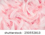 Pink Feathers Background