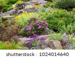 Rockery In The Garden With...