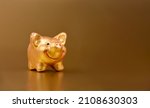 Golden Piggy Toy On A Gold...