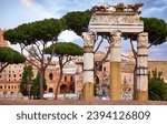 Small photo of Roman Forum in Rome, Italy. Antique structures with columns among trees. Wrecks of ancient italian roman town. Sunrise Rome famous architectural landmark. Travel destinaion.