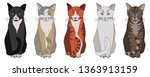 set of vector cats with... | Shutterstock .eps vector #1363913159