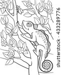Coloring Pages. Wild Animals....