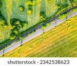 Small photo of Asphalt road and concurrent railway in lush green morning lagricultural landscape. Aerial view from drone.