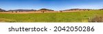 Small photo of Endless wheat farm fields in rural regional NSW of wheat belt on the great western plains - wide panorama.