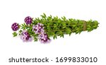bouquet of fresh thyme with... | Shutterstock .eps vector #1699833010