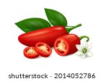 ripe red jalape o chili pepper  ... | Shutterstock .eps vector #2014052786