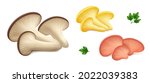 groups of fresh oyster... | Shutterstock .eps vector #2022039383