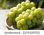 Grapes on a basket (Shine Muscat)