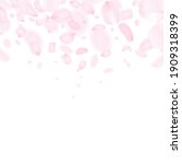 pink petals dancing in the wind ... | Shutterstock .eps vector #1909318399