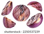 Grilled onion isolated on white background. Collection with clipping path.