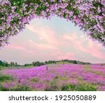 Idyllic spring background with blossoming lilac bushes flowers and pink wildflowers on meadow. Pink morning clouds on blue sky over delicate flowering spring meadow, space for text