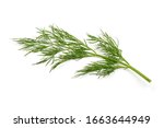 Fresh dill, isolated on white background