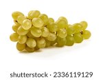 Sultana - White Wine Grape Variety, isolated on white background