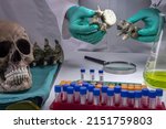 Small photo of Forensic scientist comparing two human vertebrae of adult male homicide victims to extract DNA, forensic lab, conceptual image