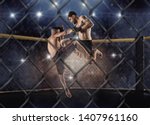 Small photo of MMA boxers fighters fight in fights without rules in the ring octagons