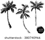 Vector Illustration Of Palm...