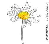 Vector Drawing Daisy Flower ...