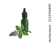 drawing melissa essential oil ... | Shutterstock . vector #2121546890