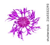 drawing flower of brown... | Shutterstock . vector #2165332293