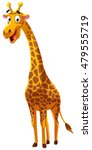 Giraffe Cartoon Style  Vector...