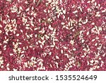 Small photo of Raw foods bread background. Beet-onion bread with walnut made in dehydrator and sprinkled with seeds. Top view full frame texture. Veggie cracker. Close up. Nutrients and live enzymes healthy snack