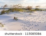 Footprints In The Sand At...