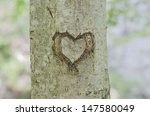 Heart In The Tree Trunk I