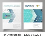 business templates for brochure ... | Shutterstock .eps vector #1233841276