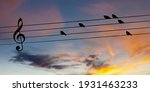 Birds On Telephone Wires Turned ...