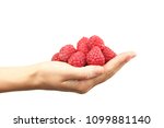 Female hand holding raspberries on white background
