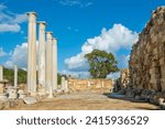 Small photo of Columns and ruins in the ancient city of Salamis in Cyprus. Salamis Ruins, Famagusta, Turkish Republic of Northern Cyprus, CYPRUS. Tourist area of ​​the ruins of the city of Salamis.