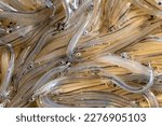 Small photo of Galaxias maculatus - A plateful of whitebait, or inanga, a delicacy in New Zealand, recently thawed and about to be cooked
