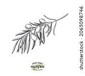 detailed olive branch  hand... | Shutterstock .eps vector #2065098746