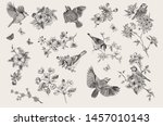 vintage illustration. blossom... | Shutterstock .eps vector #1457010143
