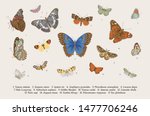 butterflies. set of elements... | Shutterstock .eps vector #1477706246