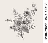 autumn flowers. classic flower... | Shutterstock .eps vector #1525151519